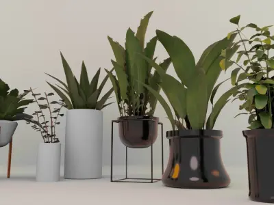 Plants For Decoration Low-poly 3D model
