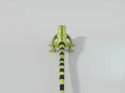 Iguana Low-poly 3D model