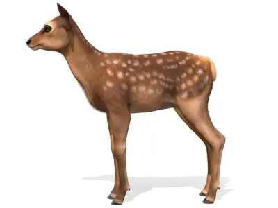 Red Deer Calf Low-poly 3D model