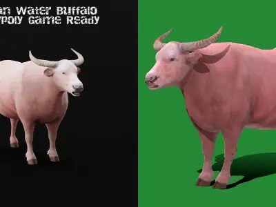 Domestic Water Buffalo  Low-poly 3D model