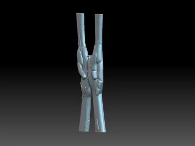 Human hands and dog paws 3D print model