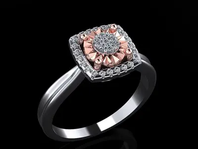Women Ring 10 3D print model