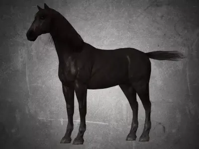 Horse - D2 3D model