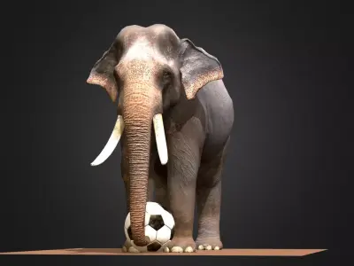Asian Male Elephant 3D model
