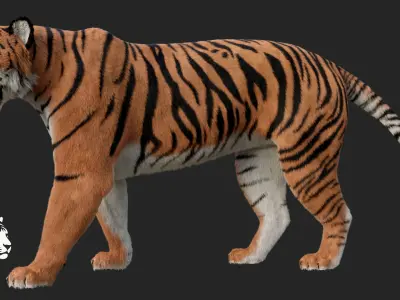Tiger 3D model