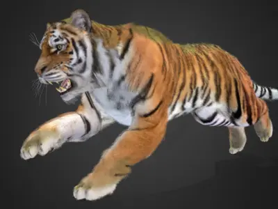 Tiger Realistic Animated 3D model