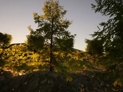 house forest with trees in sun Free 3D model