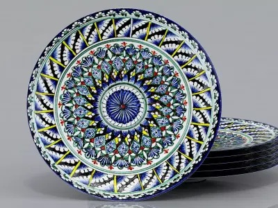 Plate Central Asia 2 3D model