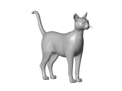 Cat  - 3D model order