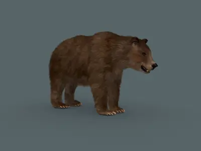Best Bear - 3D animated Brown Bear 3D model