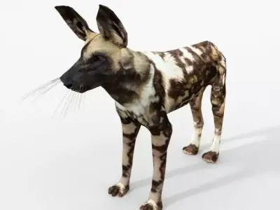 African Hunting Wild Dog Low-poly 3D model
