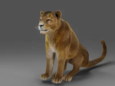 Fur Lioness v02 Rigged in Blender  Low-poly 3D model
