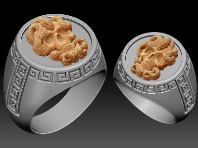 Skull and snake man ring Sculpture jewelry Gold silver  3D print model