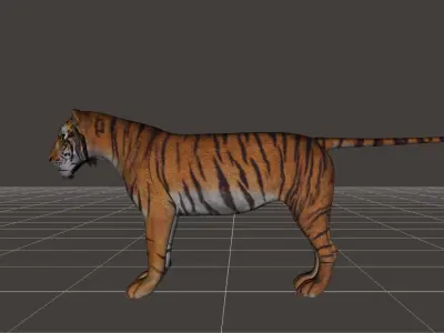 ultimate tiger rigged 3D model