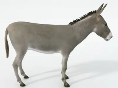 Donkey Low-poly 3D model