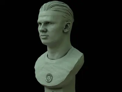 Erling Haaland 3D bust for printing 3D print model