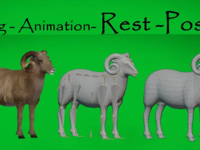 Desert Bighorn Sheep Male Low-poly 3D model