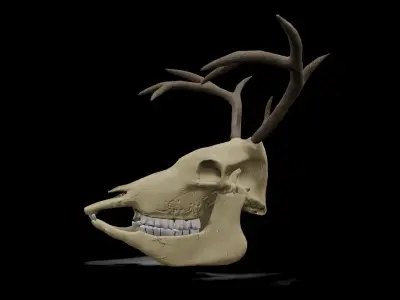 Deer low poly game ready skull Low-poly 3D model