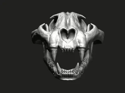 Cheetah Skull 3D model purchase