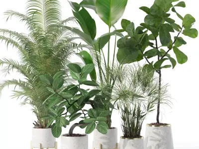 Plants collection 120 3D model