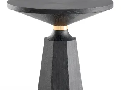 THE NICOLE II OCCASIONAL TABLE 3D model