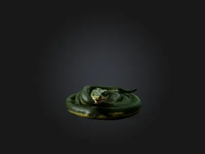 Realistic Snake Model Low-poly 3D model