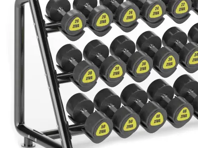 Gym-Tools-Fitness-Body-Building-set-10 gym dumbbell rack with... 3D model