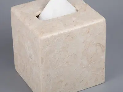 Coro Champagne Magwood Tissue Box Cover Free 3D model