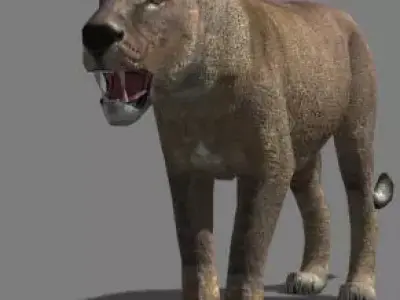 AWESOME Low-poly lioness Low-poly 3D model