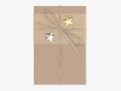 Wrapped Christmas gift 07 3D model