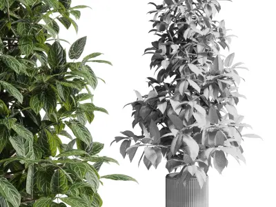 indoor plant 295 pot plant concrete dirt vase Low-poly 3D model