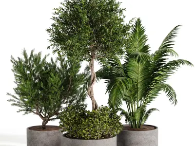 Outdoor plant collection 01 3D model