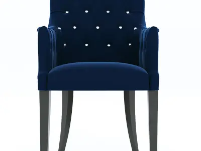 NASU 303 abby 3D model