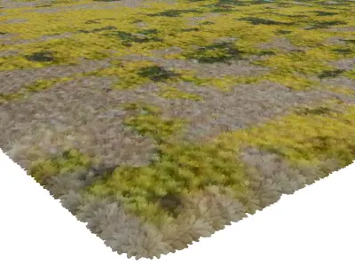 Rug Set 1816 3D model