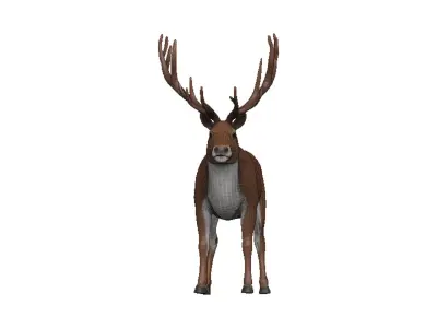 Caribou Low-poly 3D model