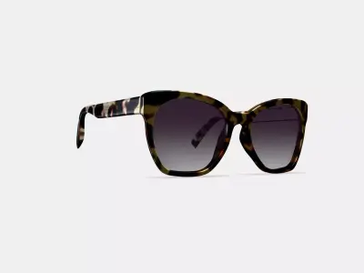 Rhea Sunglasses in Truffle Tortoise 3D model
