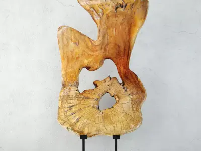 Organic Burl Stump Decor 3D model