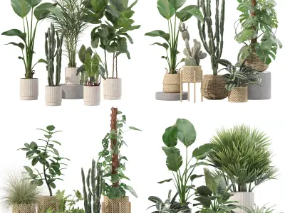 20 Photorealistic Flowers for Interiors - set 201 203 207 211 3D Model Collection