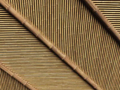 Ceiling bamboo angle n1 3D model