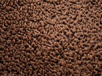 Minced Meat PBR Texture Texture