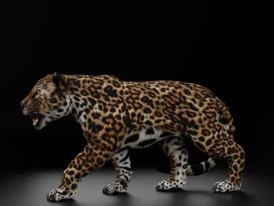 Jaguar  3D model Blender 3D model