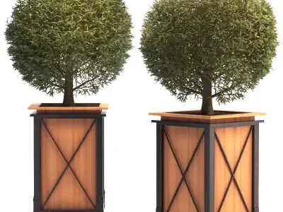 Outdoor Plant 01 3D model