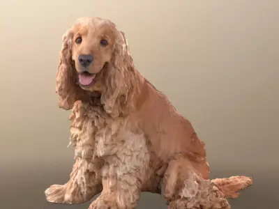 Teddy 10786 - Curly Brown Dog Sitting Cocker Spaniel Low-poly 3D model