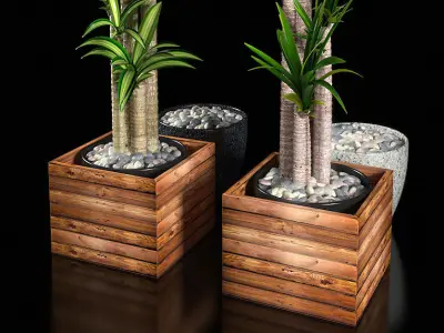Plant 1 two plants in wooden boxes 3D model