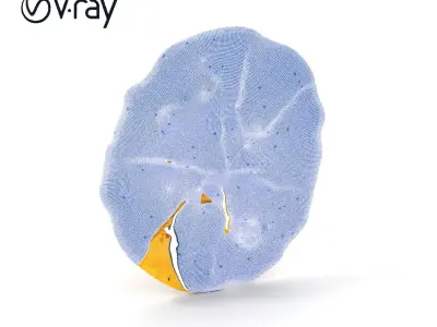 Detailed Flatbread Model Pack for D Applications Low-poly 3D model