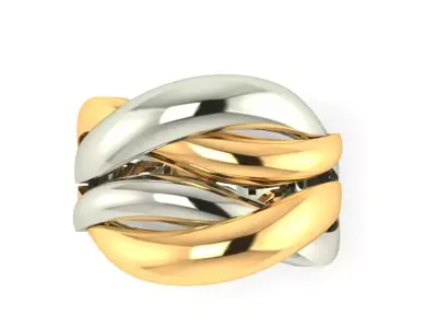 Free Two-Tone Modern Ring Free 3D print model