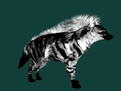 Aardwolf Hyena Animal  Low-poly 3D model