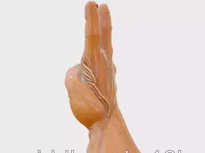 Victory Hand Gesture Polyresin Statue 3D Model Low-poly 3D model