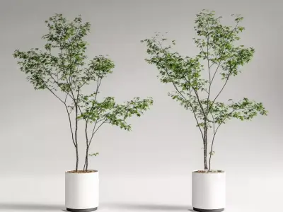 Modern Potted Green Tree 3D Model Collection 3D model