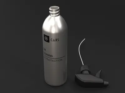Car cleaning 3D model